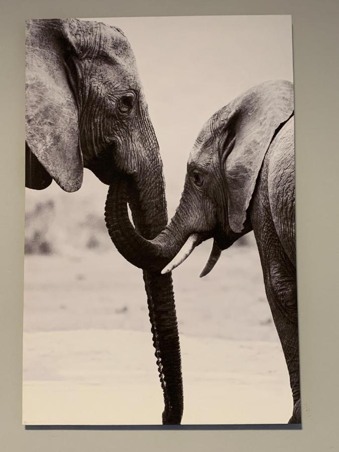 Elephant House, 2 Bedroom House, Next To Pilanesberg And Sun City Mogwase Exterior foto